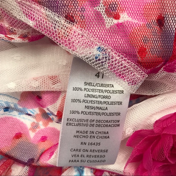 Nanette Kids Floral Swiss Dot Lace Formal Dress 4T - Picture 7 of 7